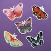 Butterfly Postcard Pack